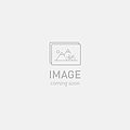 2025  levo expert carbon g3 ul bike obsidian/obsidian/taupe s6